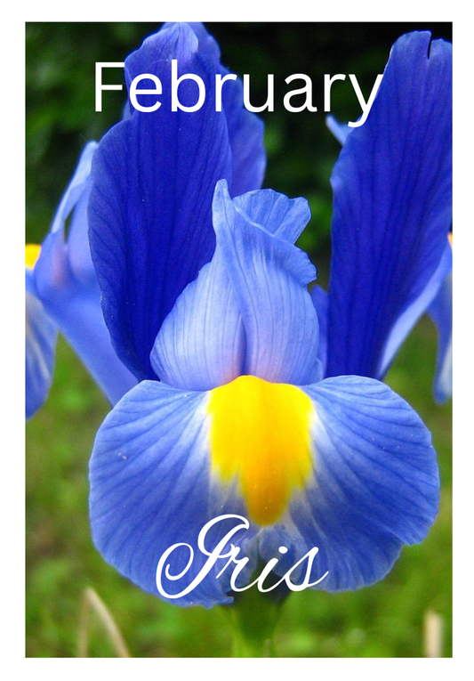 Birthday Month Flowers