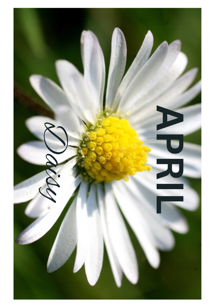 Birthday Month Flowers