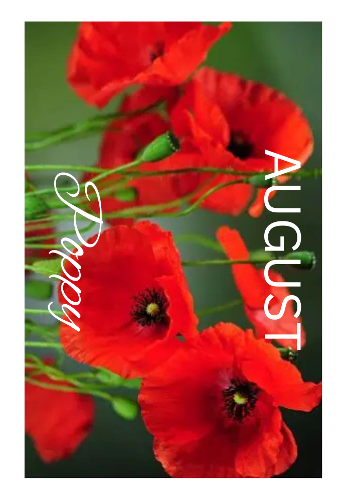 Birthday Month Flowers