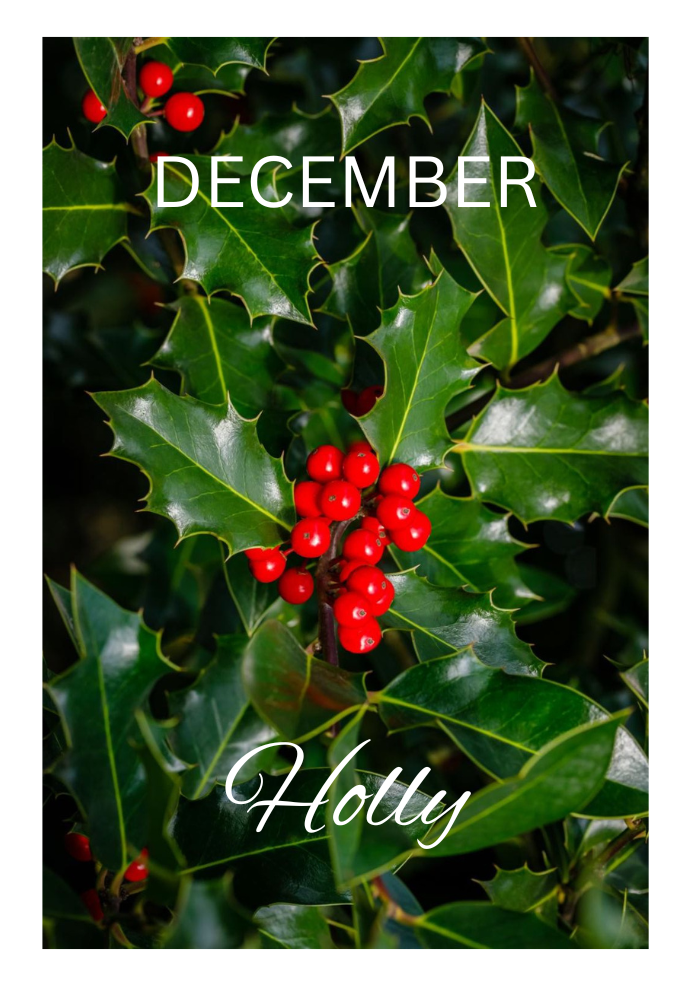 Birthday Month Flowers