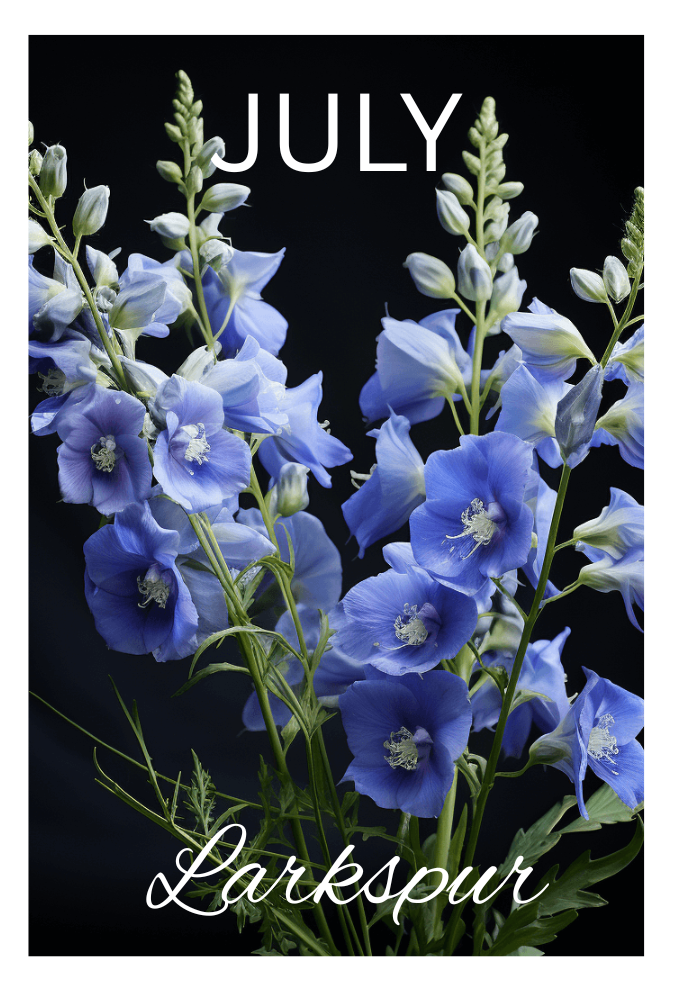 Birthday Month Flowers