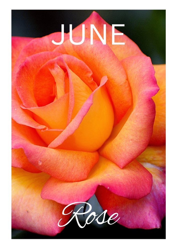 Birthday Month Flowers