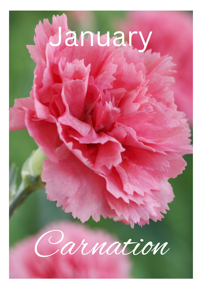 Birthday Month Flowers