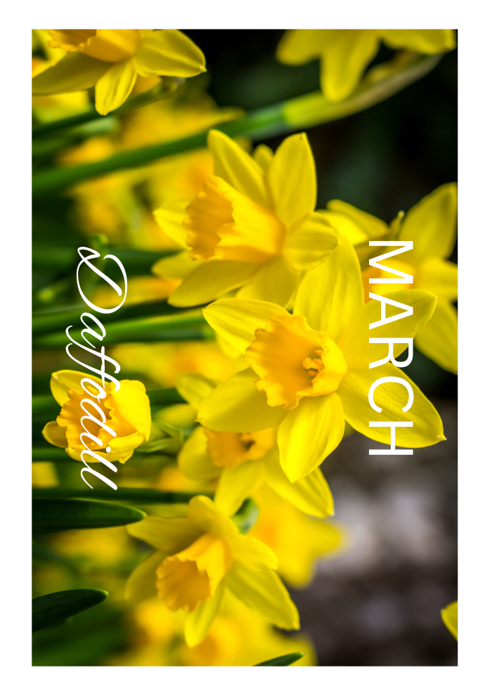 Birthday Month Flowers