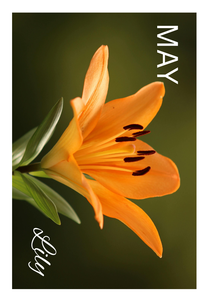 Birthday Month Flowers