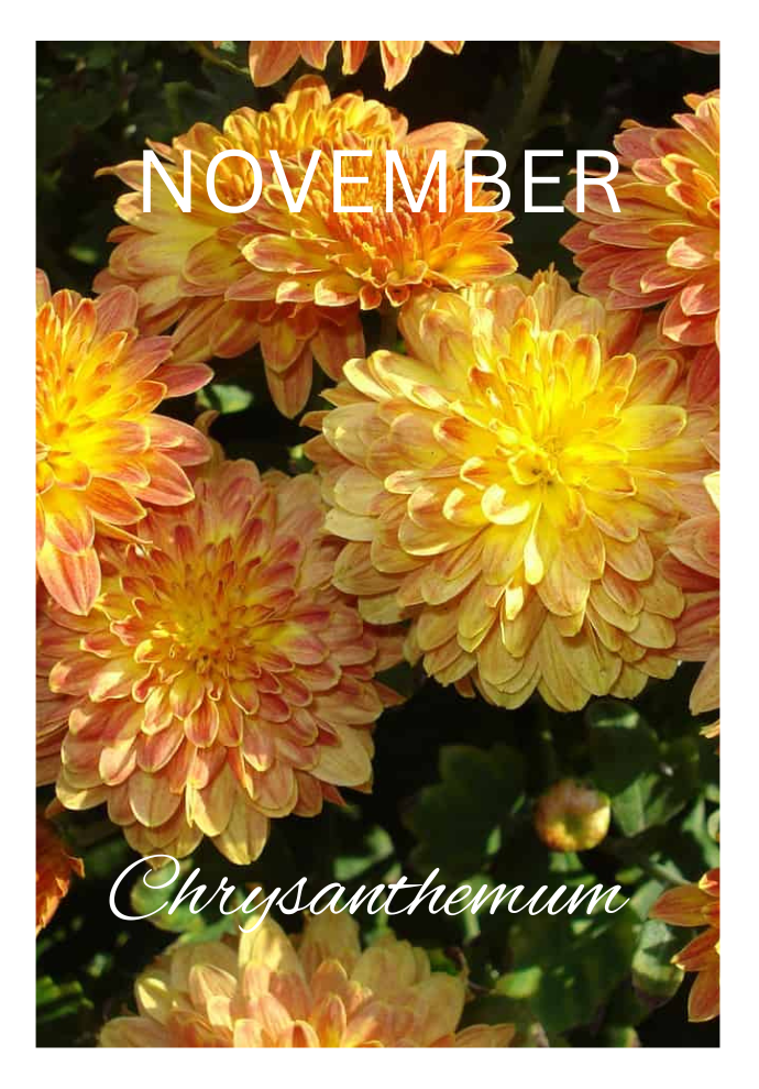 Birthday Month Flowers