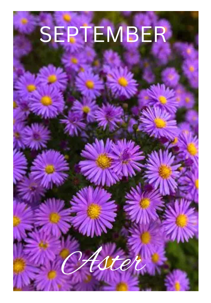 Birthday Month Flowers